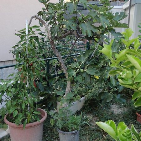 Apartman Paro Split Ngoại thất bức ảnh